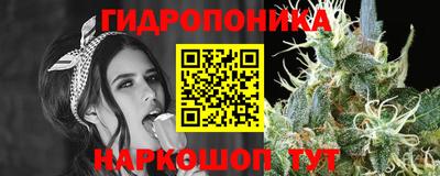 спиды Будённовск