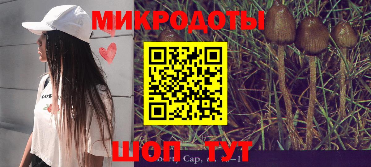 Кудрово  Псилоцибиновые грибы Cubensis  Вход с VPN 