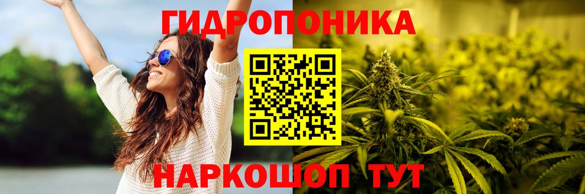Шишки марихуана индика Кудрово